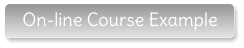 On-line Course Example